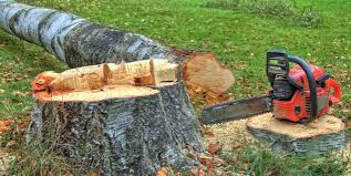 Best Tree Preservation Services  in Chelan, WA